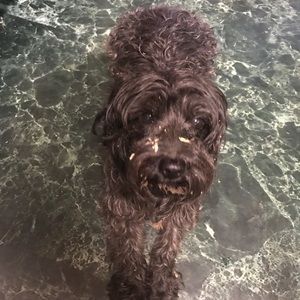 Meet your Posher, Lesley